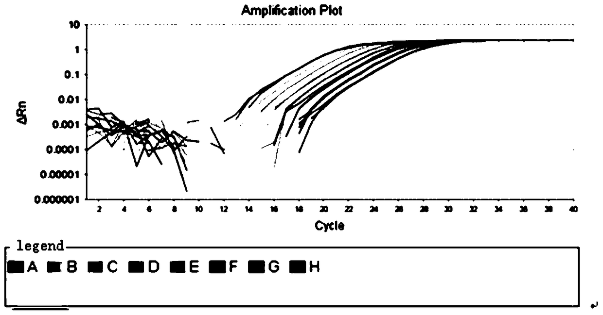 Rapid qualitative and quantitative detection kit, detection method and application of Lactobacillus bulgaricus added in feed