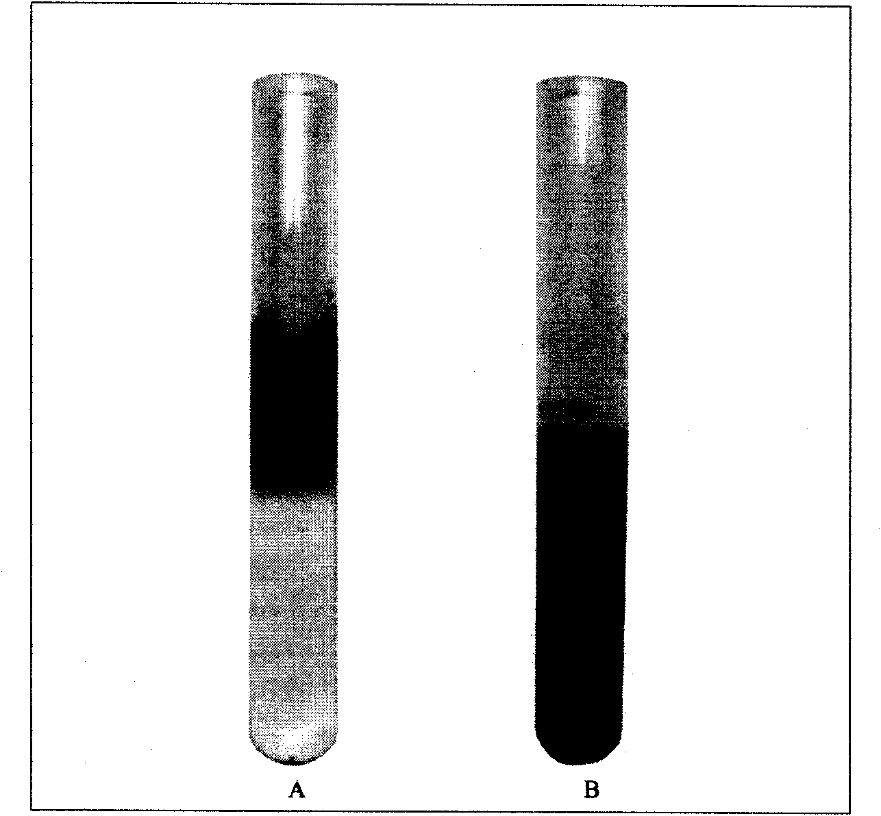 Method for improving surface hydrophilicity of waste rubber powder