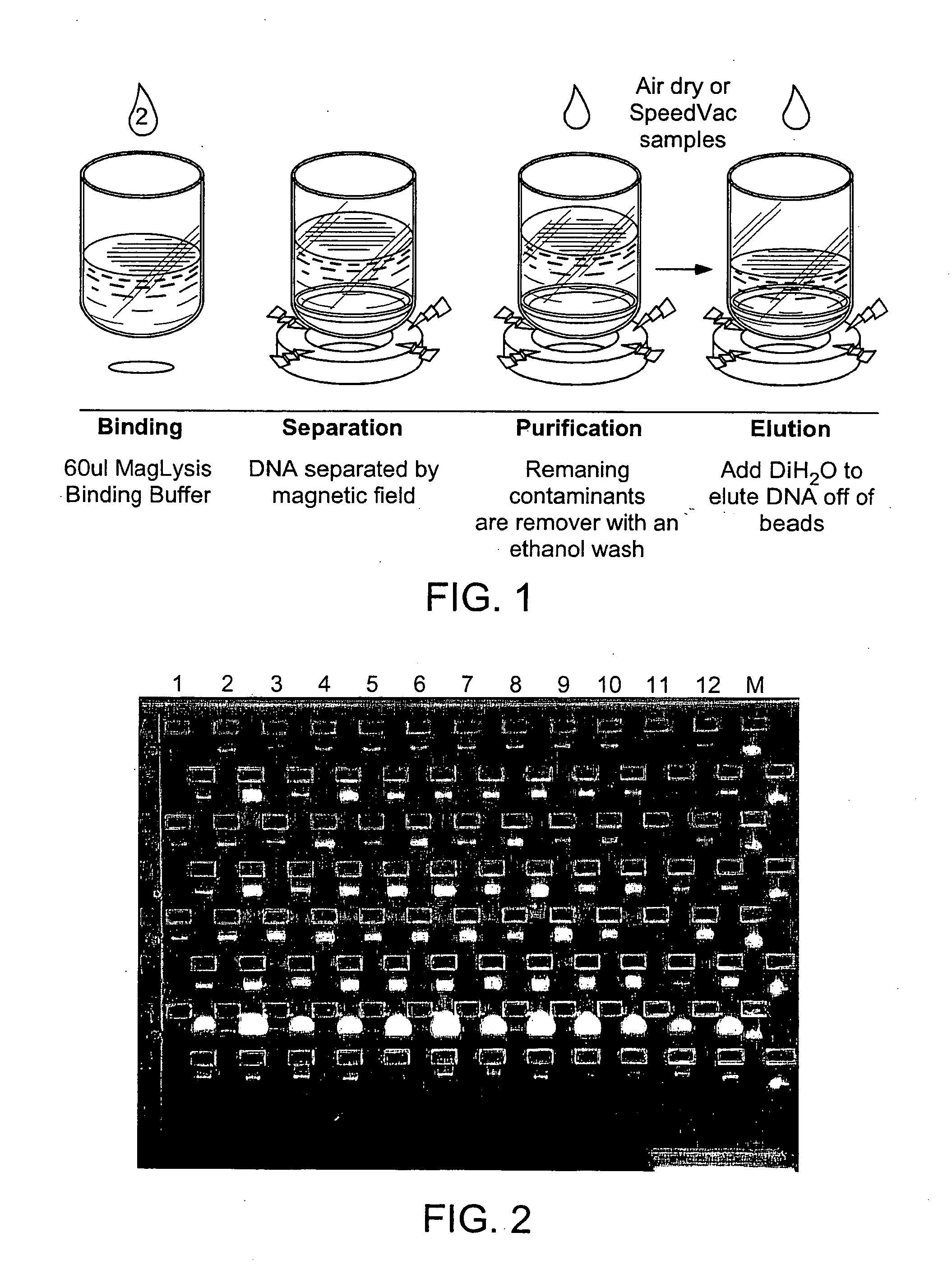 Method for isolating nucleic acids