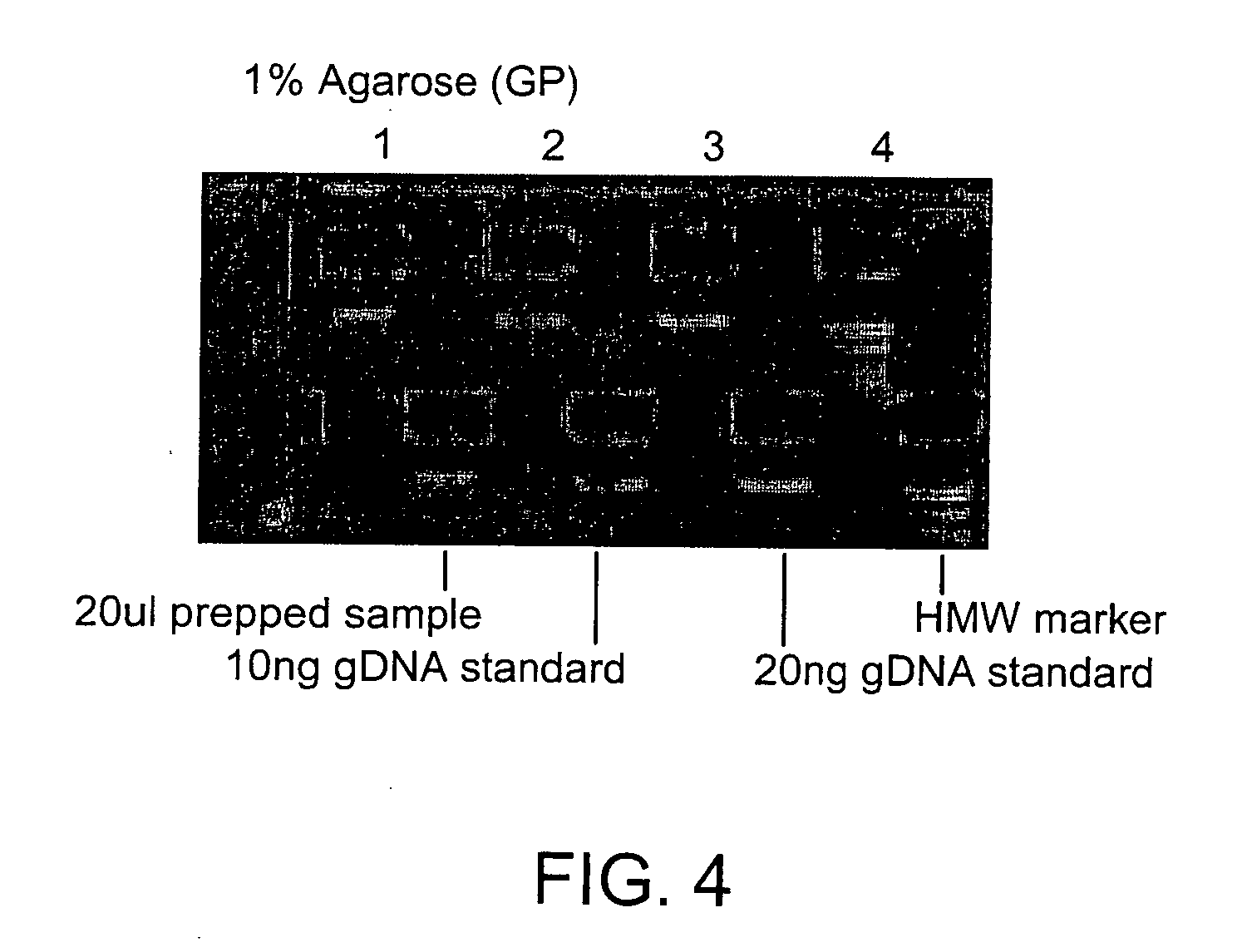 Method for isolating nucleic acids