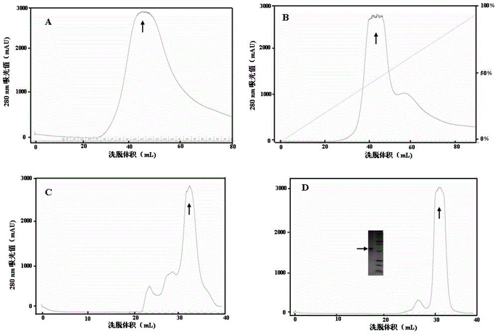 Anti-HIV aedes albopictus protein with platelet aggregation inhibiting function and preparation method of anti-HIV aedes albopictus protein