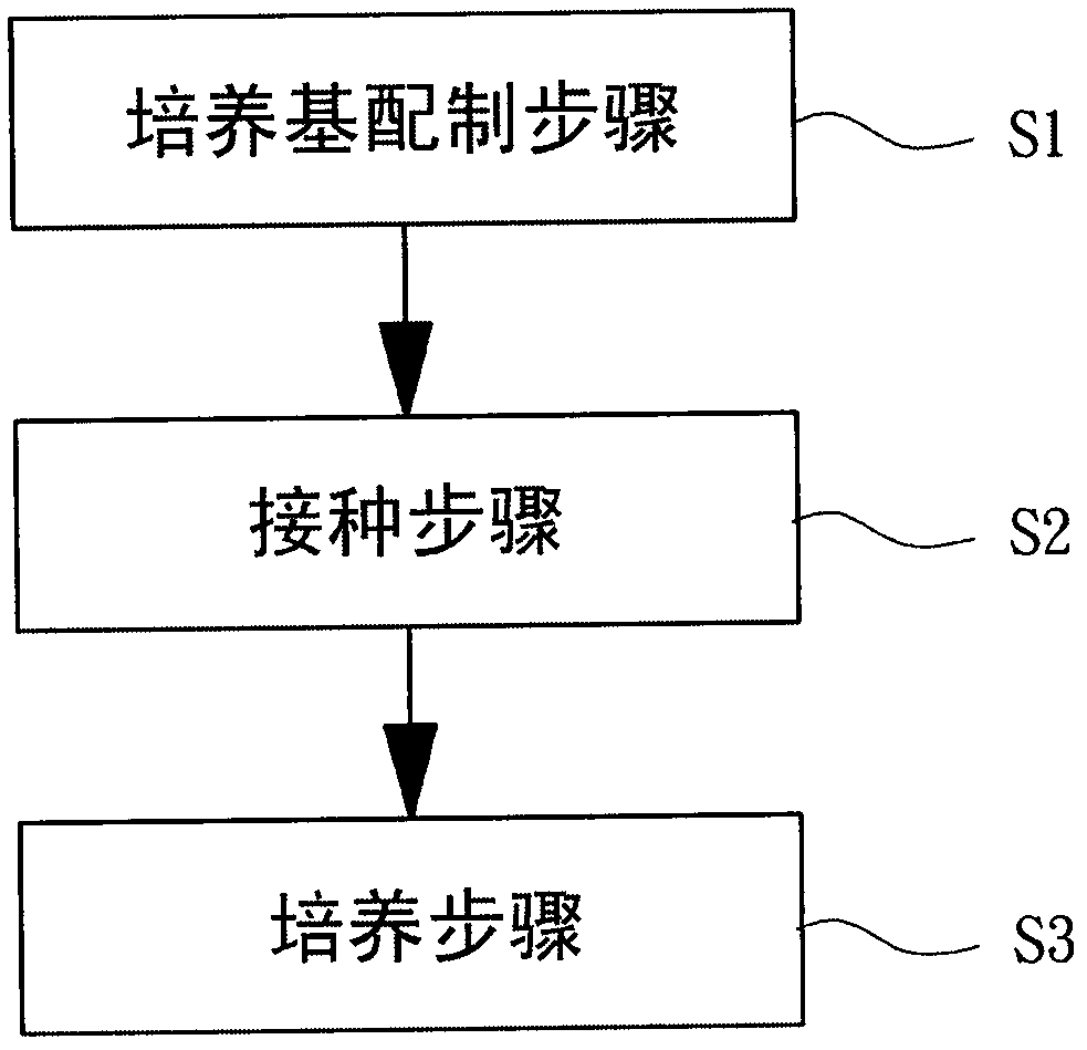 Culture method for Antrodia