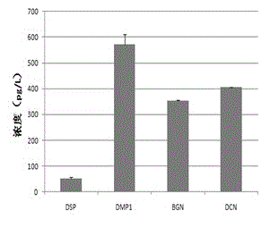 Pulp capping agent with bioactivity and preparation method thereof