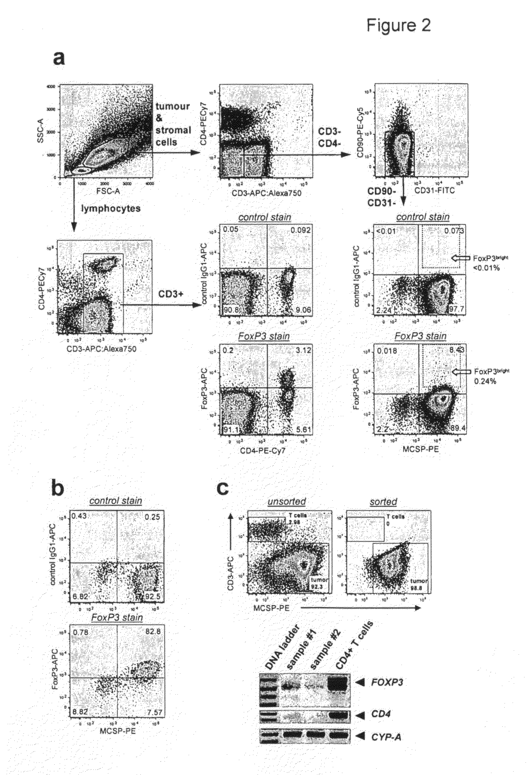 Expression of foxp3 by cancer cells