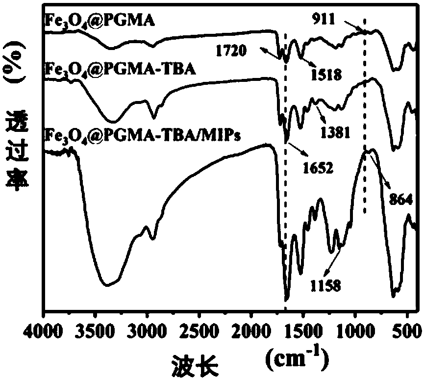 Glycoprotein surface imprinted polymer based on team boron affinity as well as preparation method and application of glycoprotein surface imprinted polymer