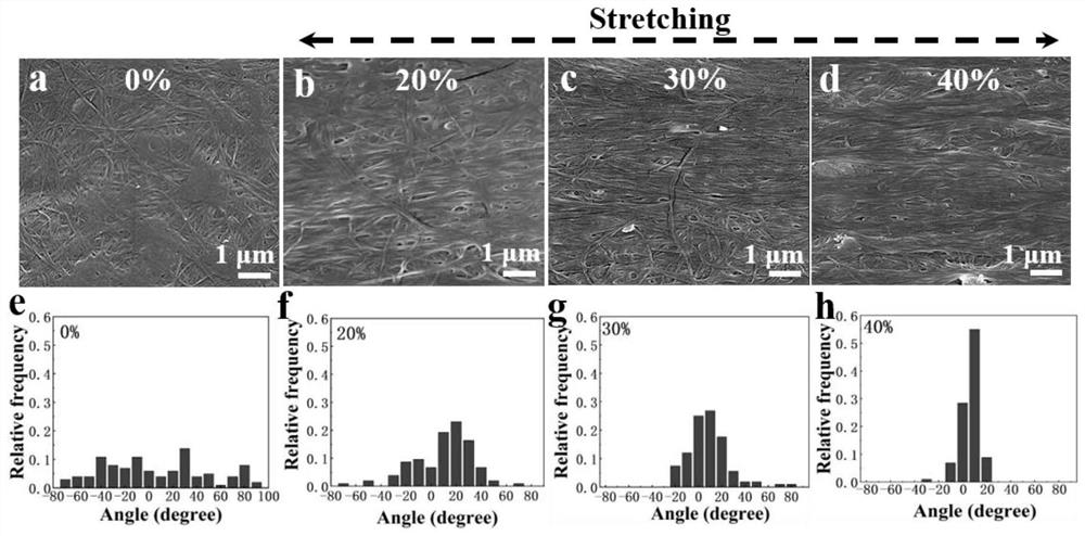 High-orientation and high-strength bacterial cellulose composite membrane as well as preparation and application thereof