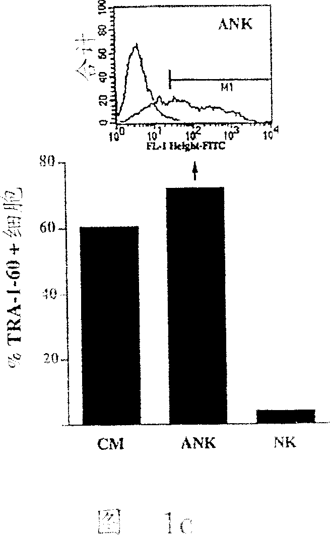 Compositions and methods for growth of embryonic stem cells