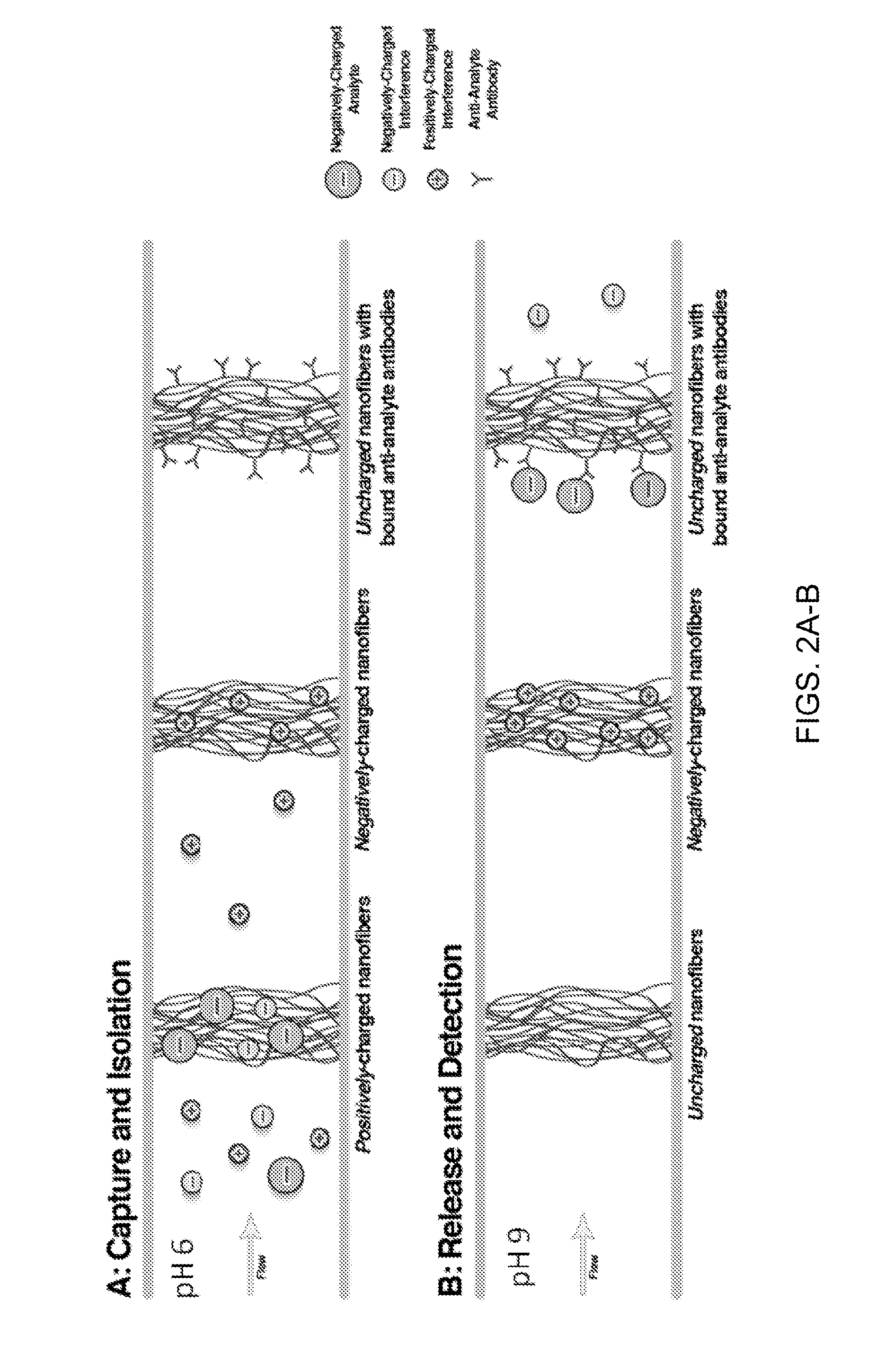 Biofunctional nanofibers for analyte separation in microchannels