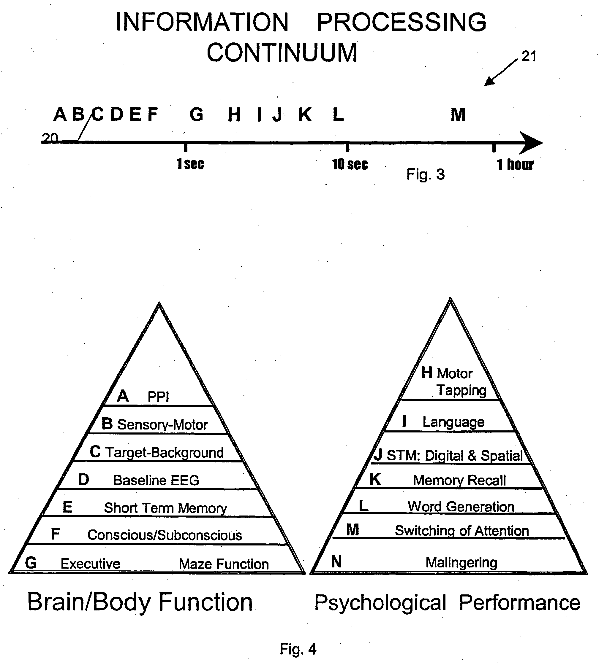 Collective brain measurement system and method