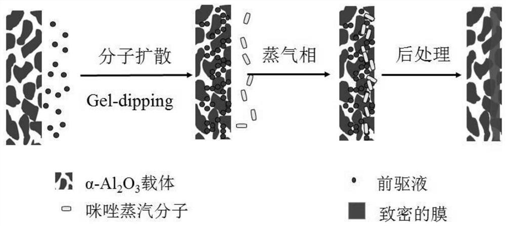 Preparation method for synthesizing ZIF-67 membrane through in-hole membrane formation