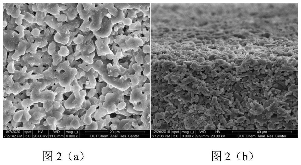 Preparation method for synthesizing ZIF-67 membrane through in-hole membrane formation