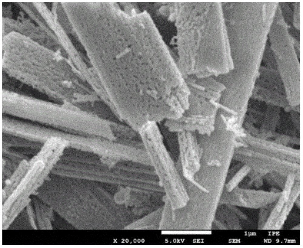 A kind of preparation method of porous tricobalt tetraoxide nanobelt