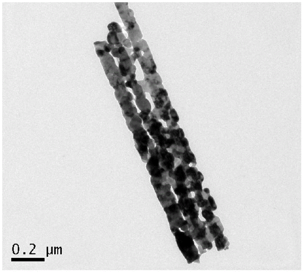 A kind of preparation method of porous tricobalt tetraoxide nanobelt