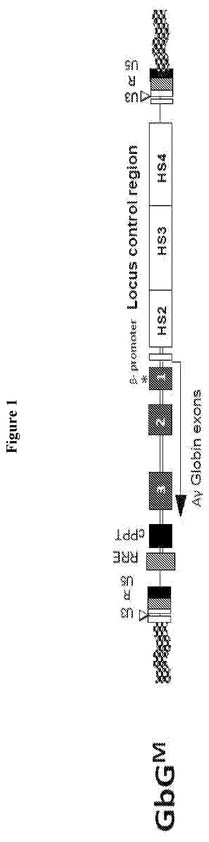 Reduced intensity conditioning with melphalan