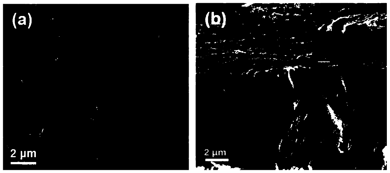 Method for repairing damaged dental enamel by metal oxide compact layer coating