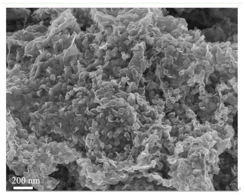 High nitrogen-doped graphene and fullerene-like molybdenum selenide hollow sphere nanocomposite material and preparation method thereof