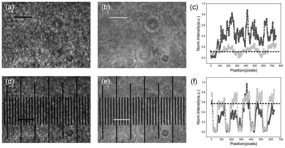 Point diffraction digital holographic microscopy device based on multimode fiber