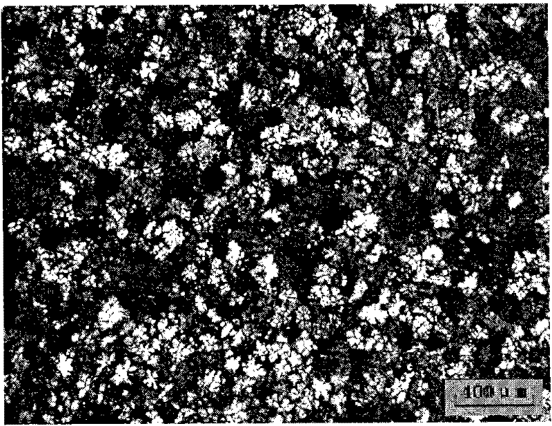 Grain refiner for magnesium alloy and preparation method thereof