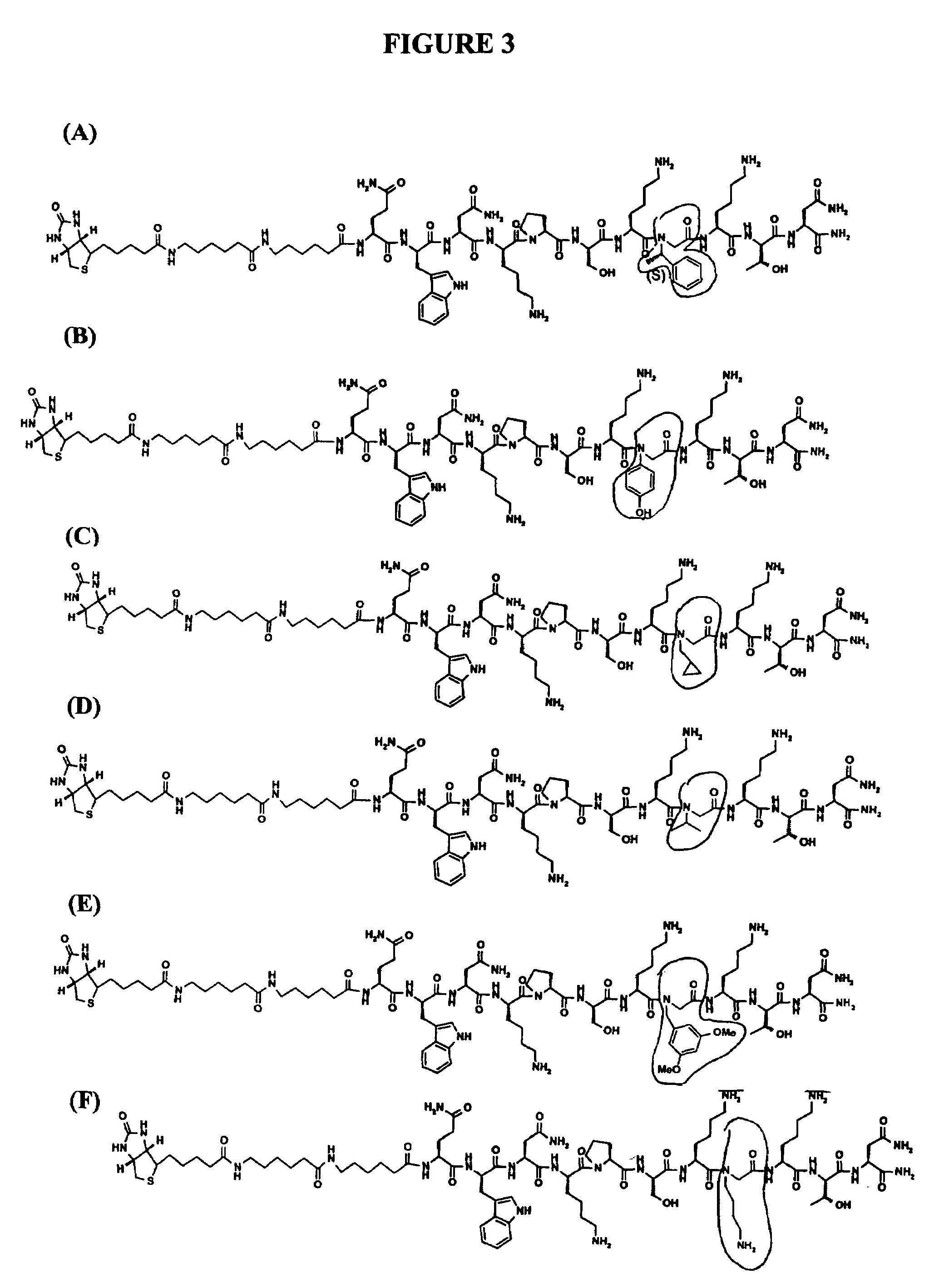 Prion-specific peptide reagents