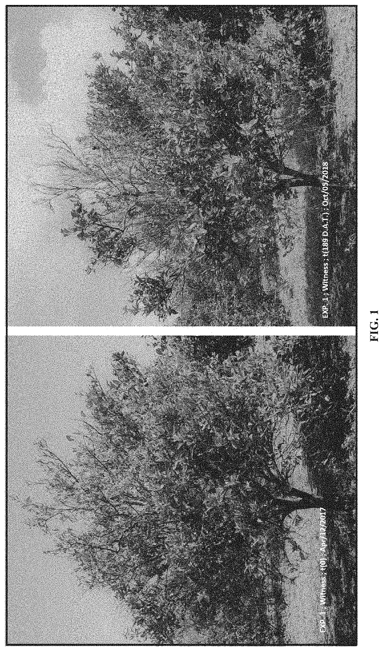 Agricultural compositions for use in controlling and/or treating disease of vascular tissue in plants