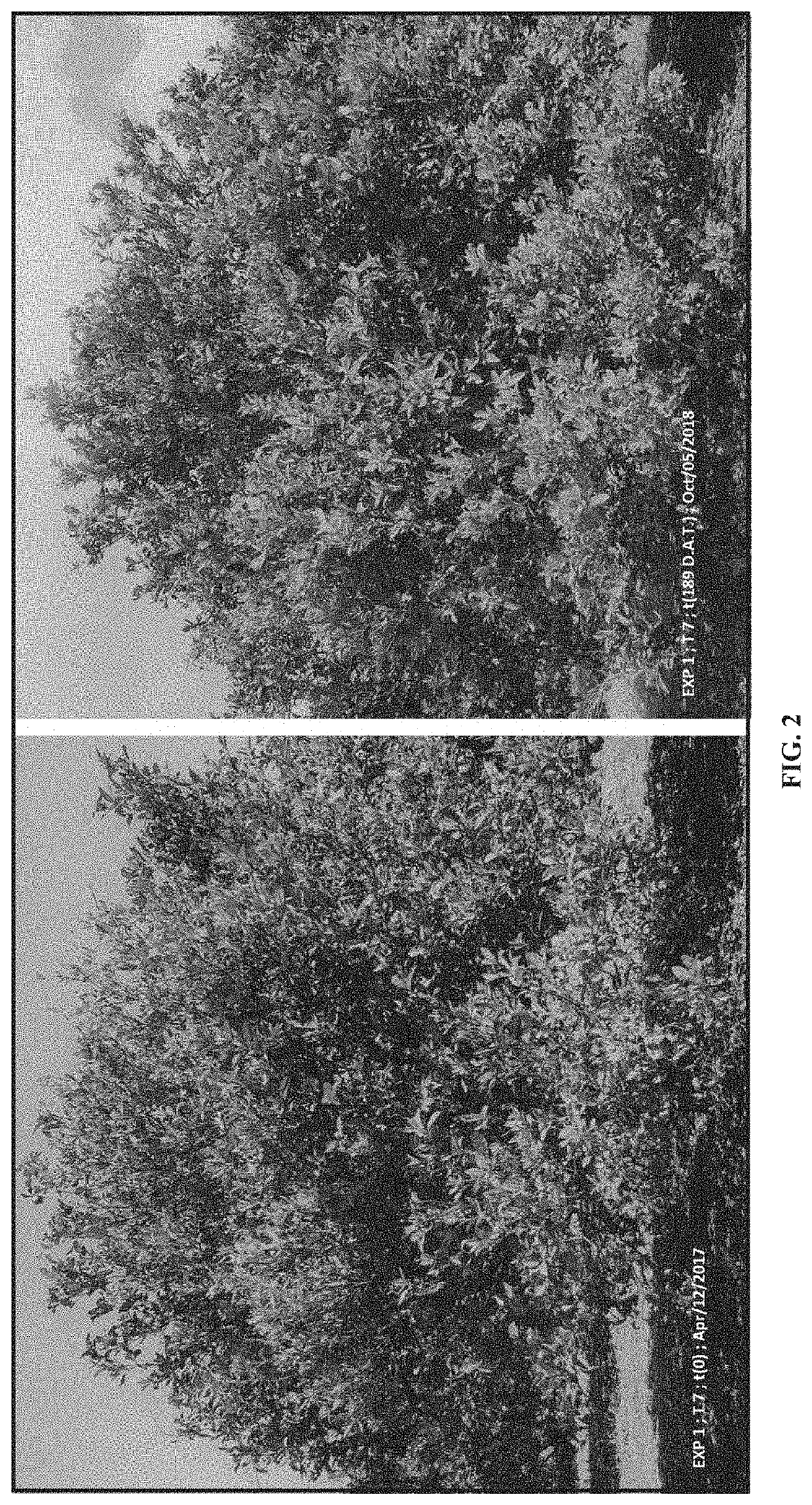 Agricultural compositions for use in controlling and/or treating disease of vascular tissue in plants