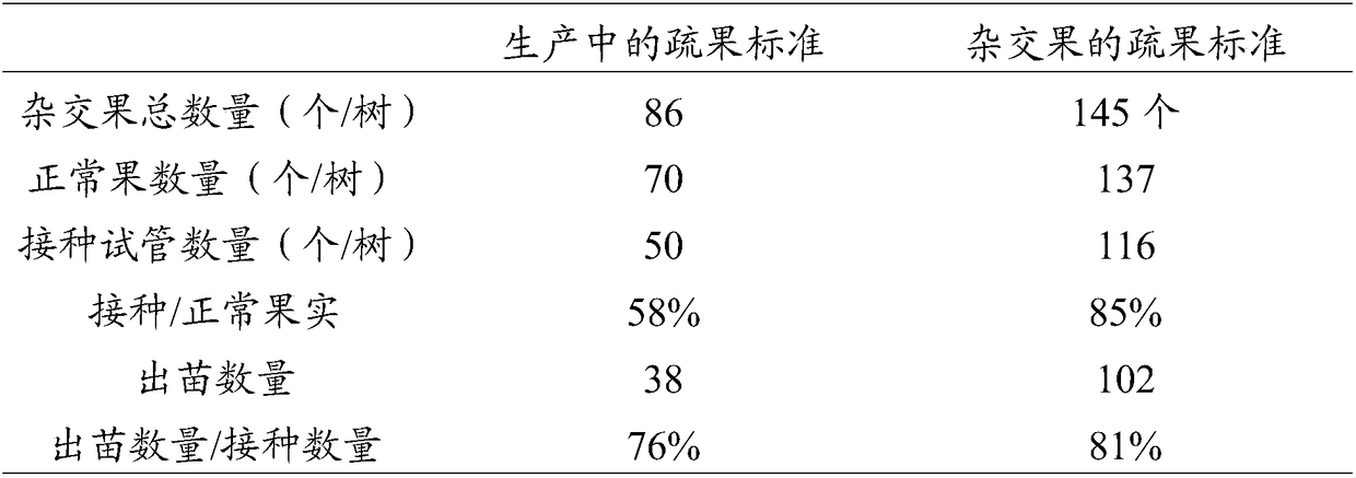 Obtaining method of nectarine inoculation embryo