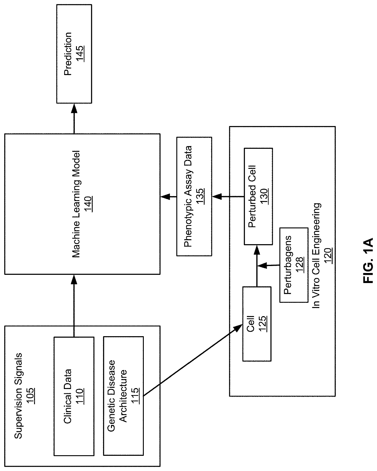 Predicting disease outcomes using machine learned models