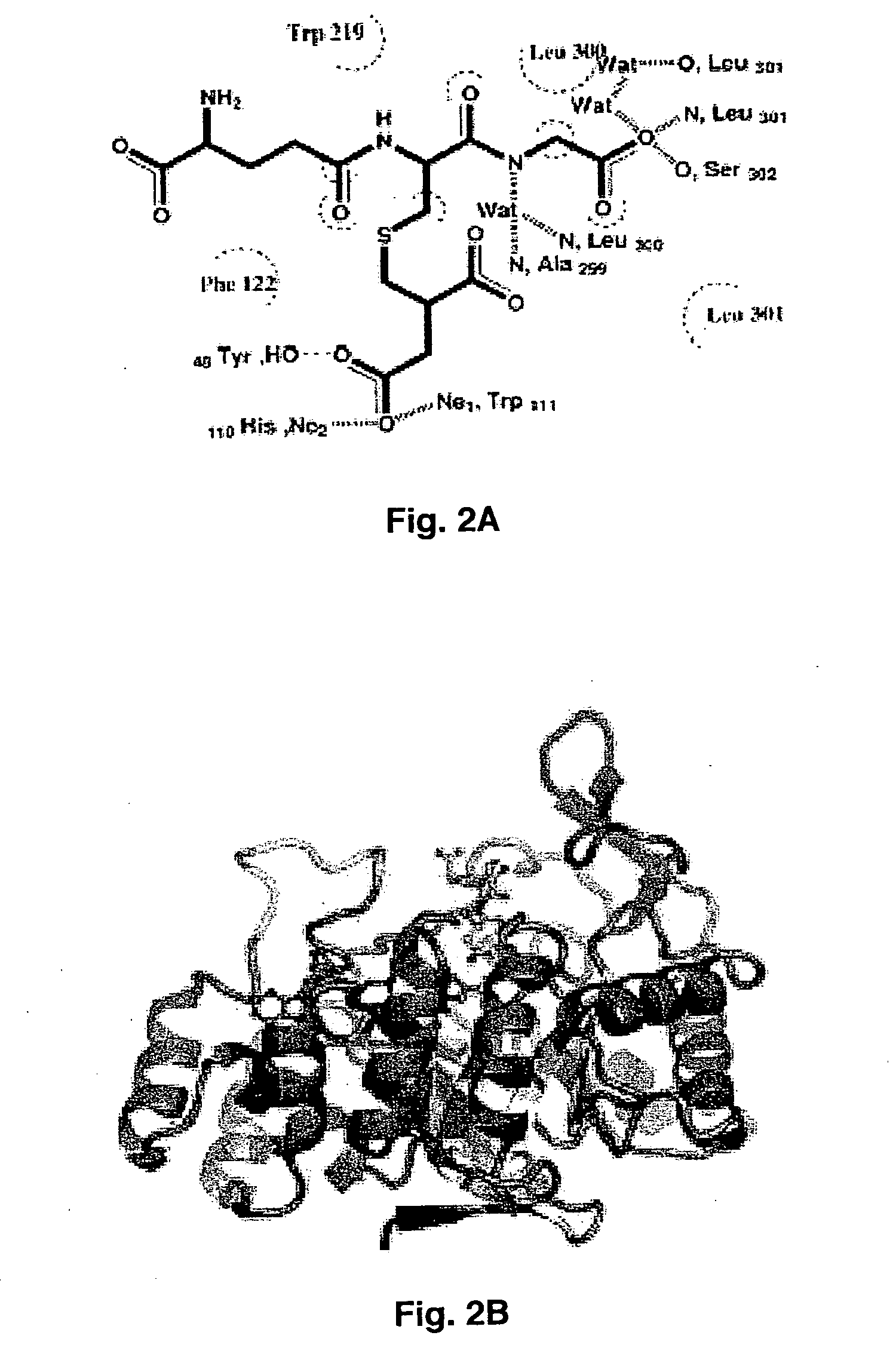 Structural-based inhibitors of the glutathione binding site in aldose reductase, methods of screening therefor and methods of use