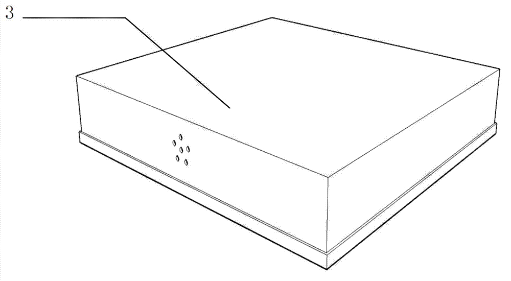 Pteridophyte seedling raising device