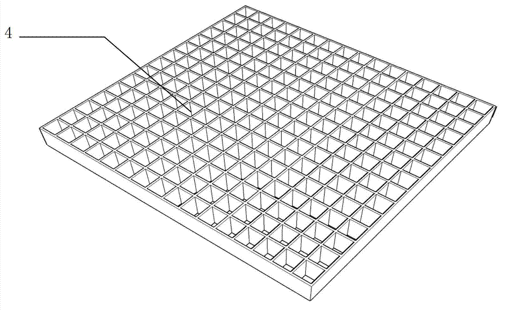 Pteridophyte seedling raising device