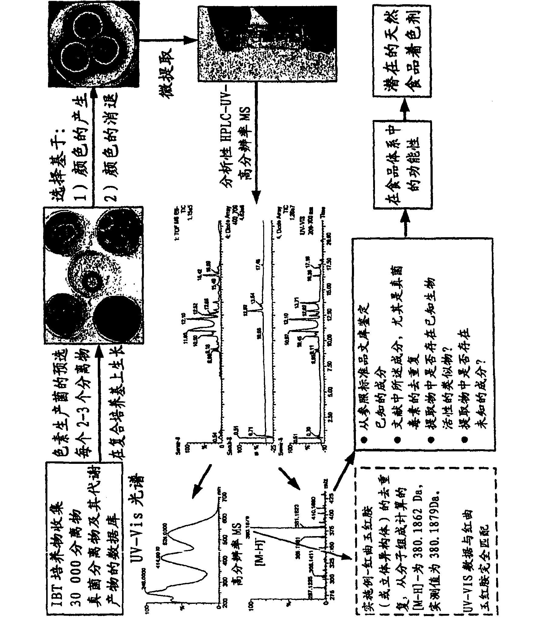 Production of monascus-like azaphilone pigment