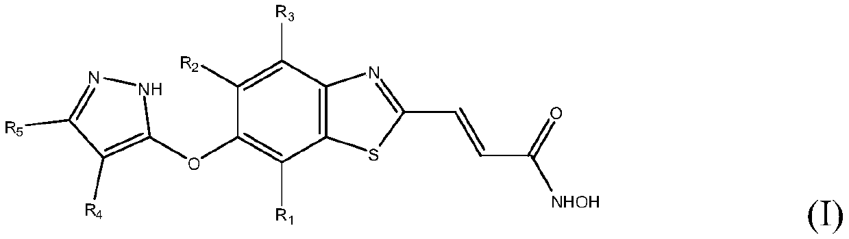 Medicine for treating facial nerve injury and preparation method thereof