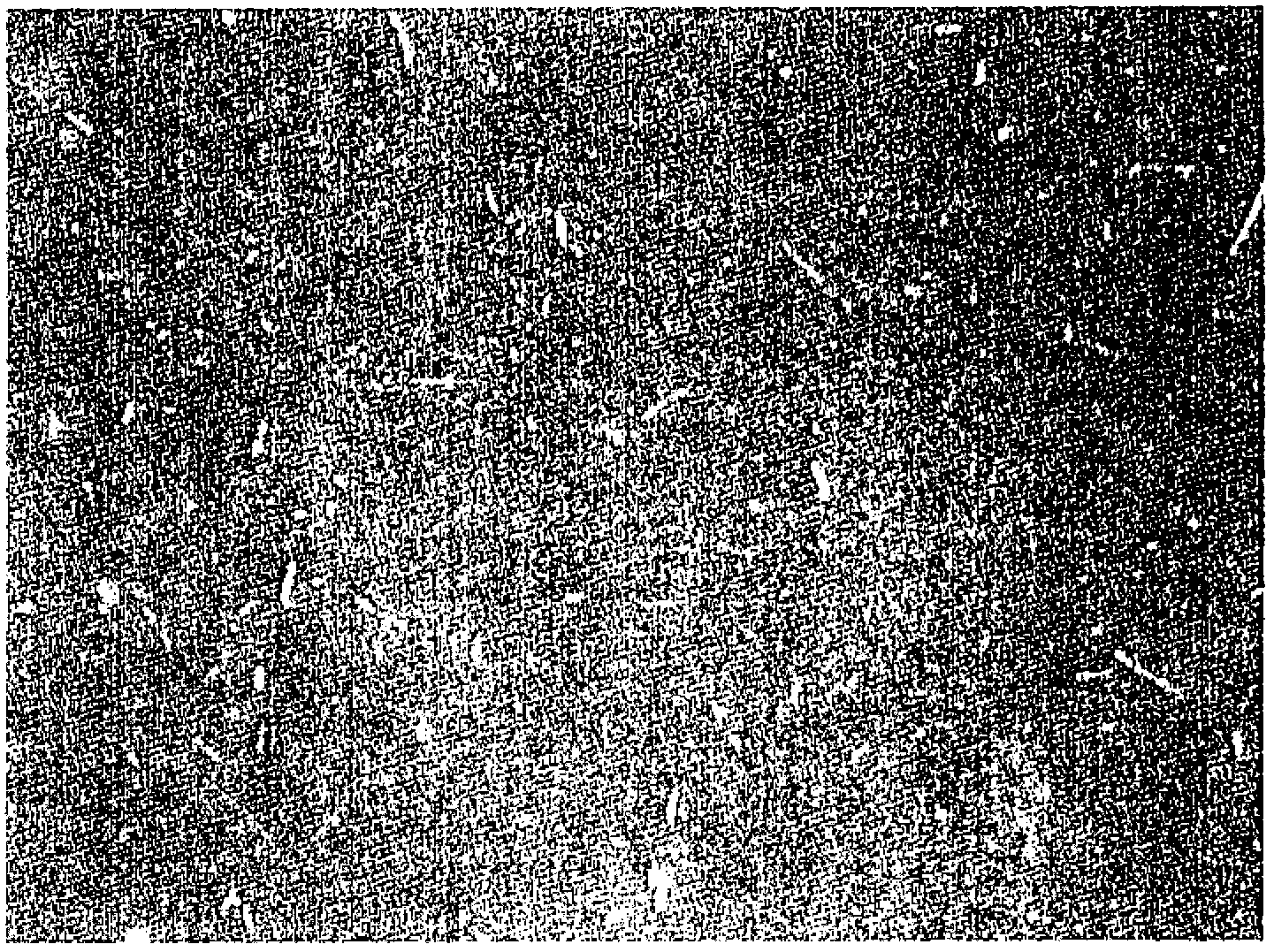 Process for production of fine cellulose fiber dispersion