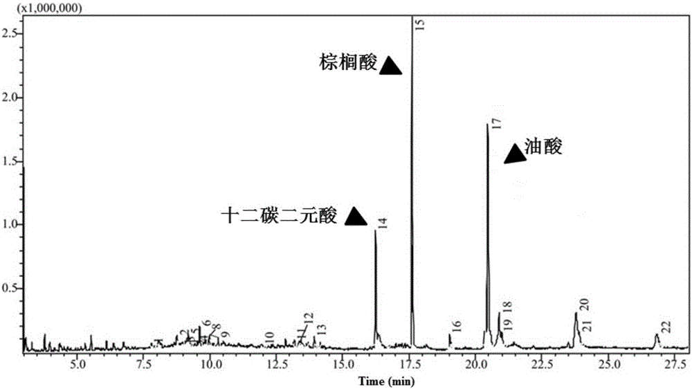 Application of candida tropicalis to preparation of dodecanedioic acid by utilizing unsaturated grease