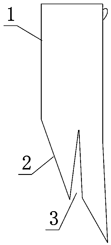 Shrunken and weak bud grafting method of jujube tree