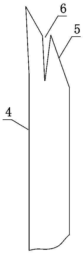 Shrunken and weak bud grafting method of jujube tree