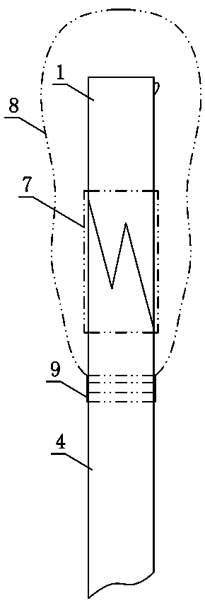 Shrunken and weak bud grafting method of jujube tree