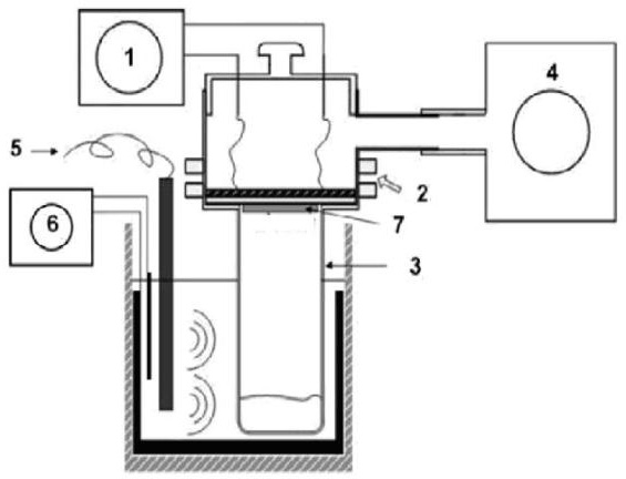 Method for producing polycrystal mercuric iodide thick films by vacuum evaporation and vapor phase deposition under action of ultrasonic wave