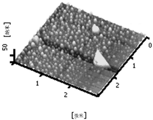 Method for producing polycrystal mercuric iodide thick films by vacuum evaporation and vapor phase deposition under action of ultrasonic wave