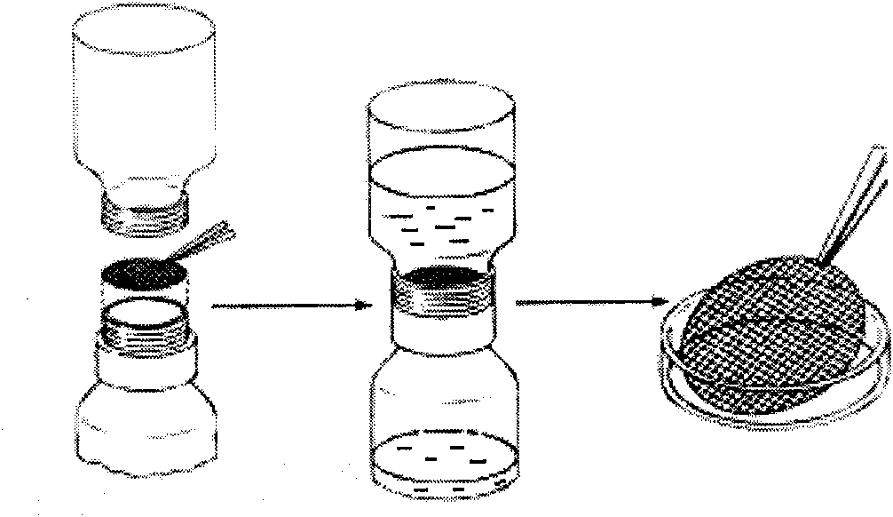 Method for automatically counting by concentrating through filter membrane