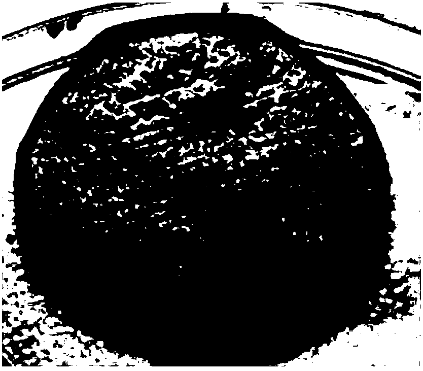 Bacterial cellulose film/nano-iron composite material and preparation method and application thereof