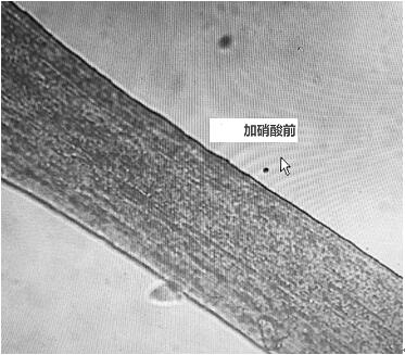 An Improved Qualitative and Quantitative Analysis Method of Modified Polyacrylonitrile Fiber