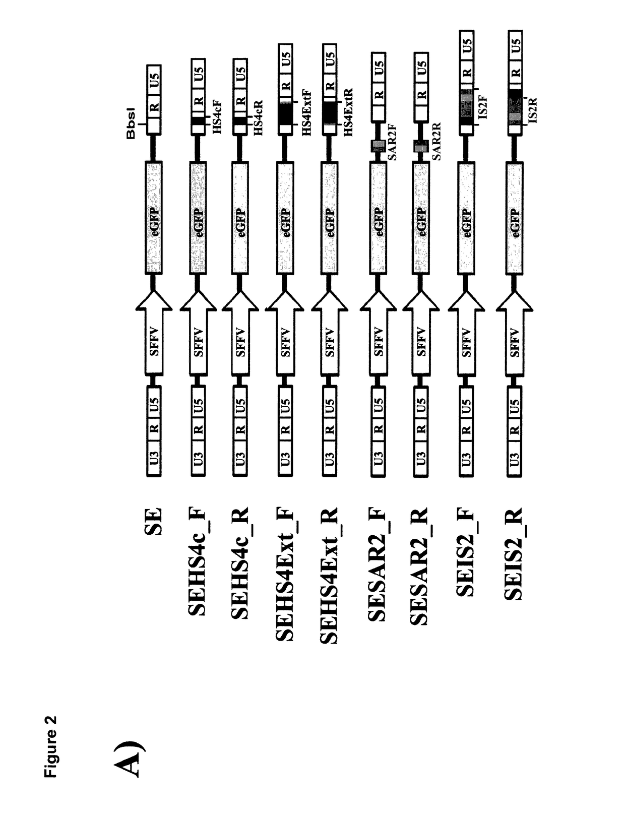 Insulator to improve gene transfer vectors