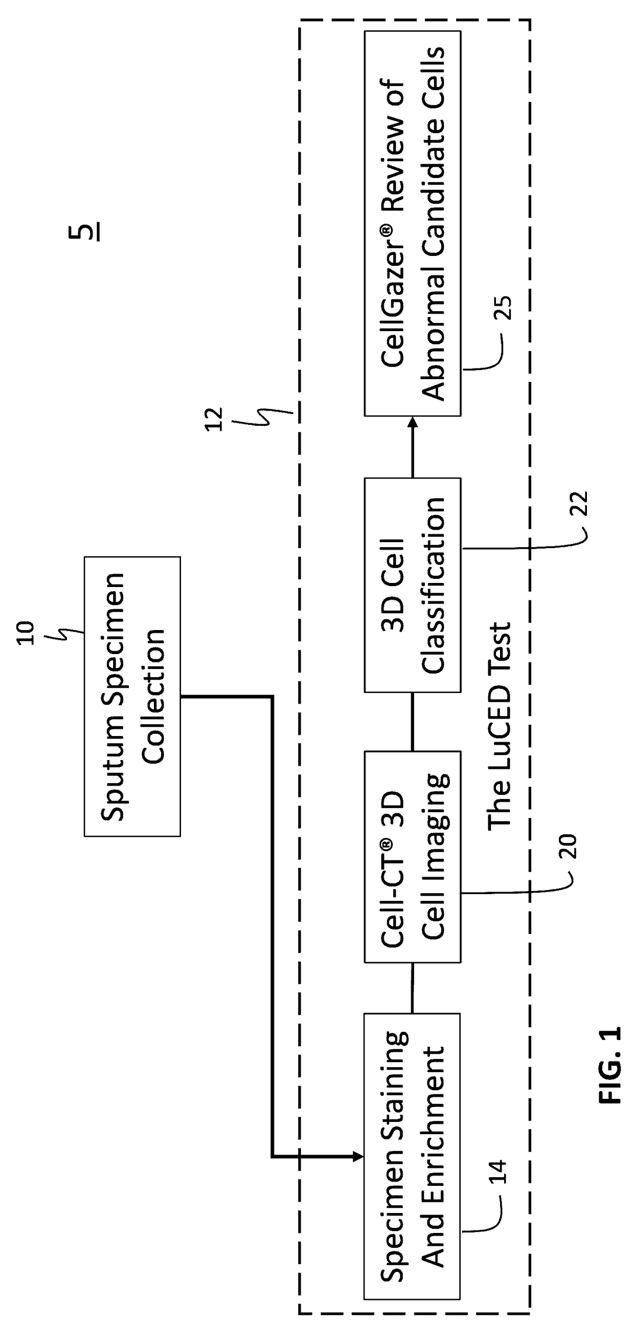 System and method for automated detection and monitoring of dysplasia and administration of immunotherapy and chemotherapy