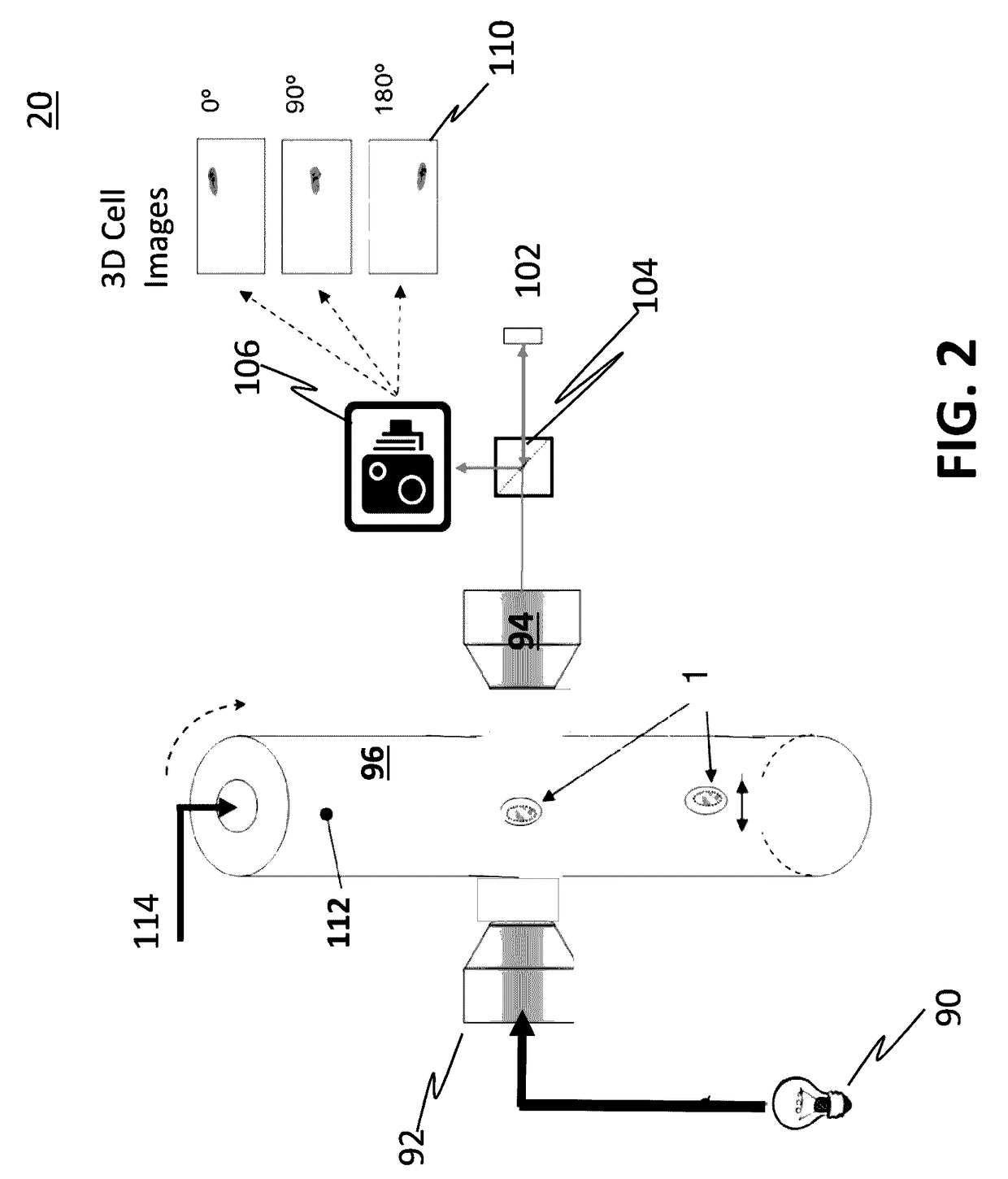 System and method for automated detection and monitoring of dysplasia and administration of immunotherapy and chemotherapy