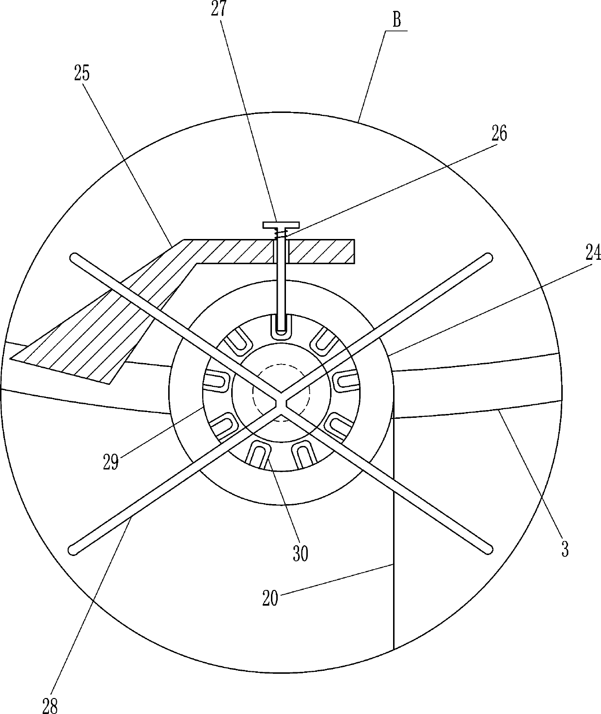 Sports ankle exercise device