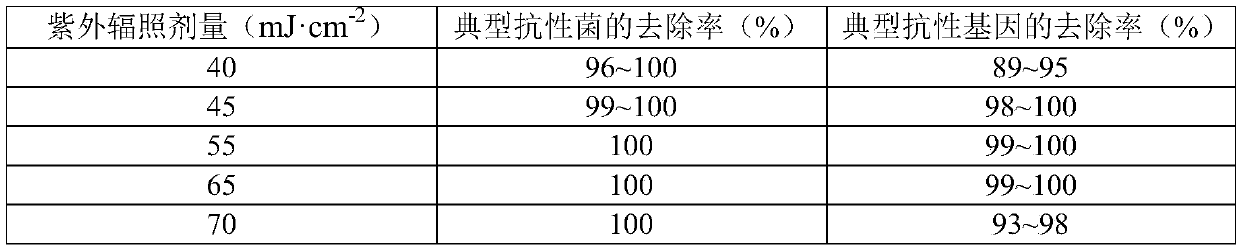 Drinking water disinfection and purification system for treating resistant bacteria and resistant genes of antibiotics and technology of drinking water disinfection and purification system