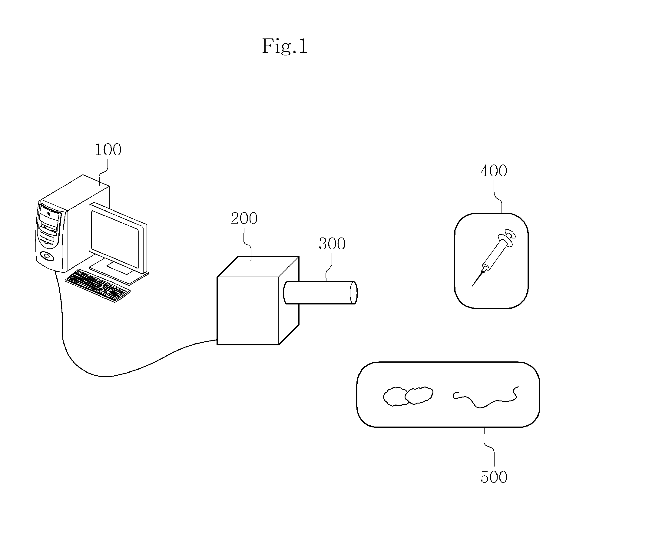 Injection simulation system and method