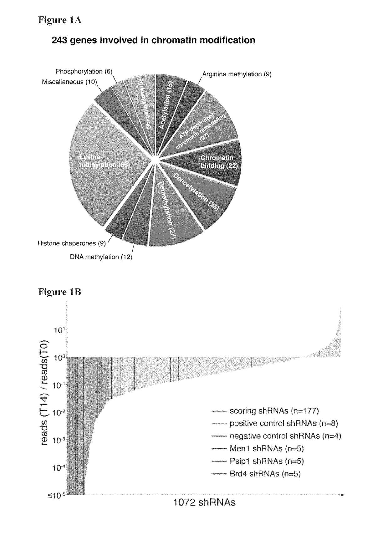 Compositions and methods for treating leukemia