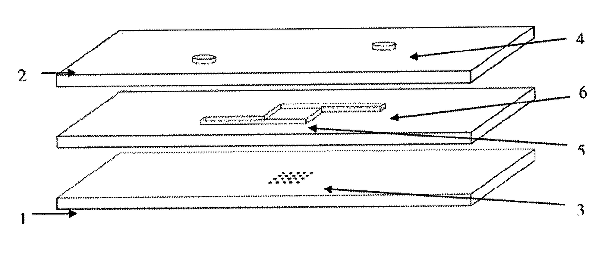 Biological chip hybridization system